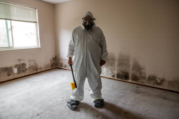 Best Commercial Mold Inspection  in Port Dickinson, NY